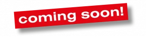 IDS-Technology GmbH - D-54634 Bitburg - Rheinland-Pfalz, Germany | Coming soon